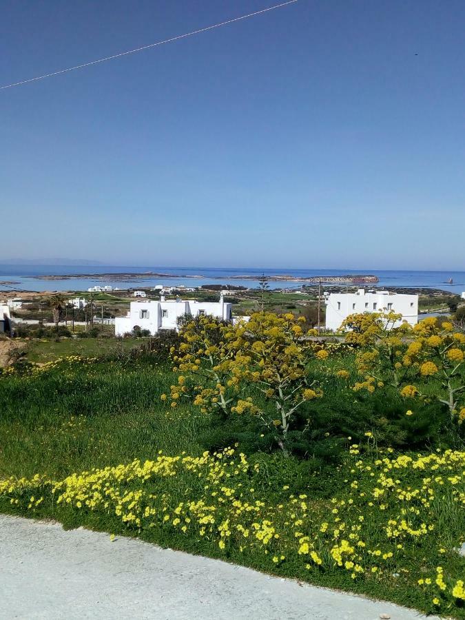 Traditional House Paros Szarakíniko Kültér fotó