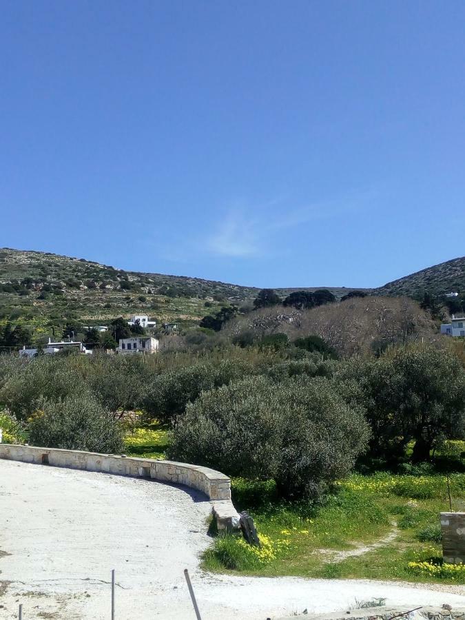 Traditional House Paros Szarakíniko Kültér fotó