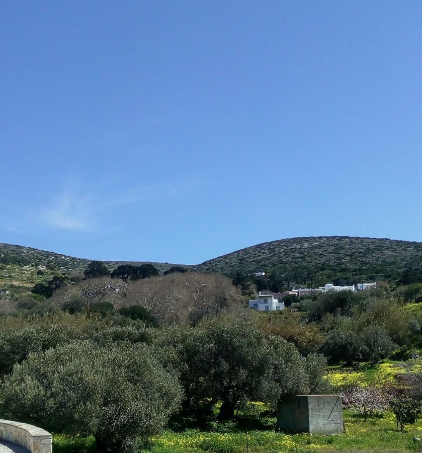Traditional House Paros Szarakíniko Kültér fotó